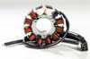 Ricks Motorsport Stator Snow