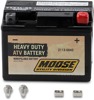 YTX AGM Maintenance Free Battery 50CCA 12V 3Ah Factory Activated - Replaces YTX4L