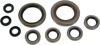 Oil Seal Kit - Fits 08-09 KTM 450/525 XC ATV, 07-11 Outlaw 525 IRS