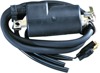 External Ignition Coil Black - For 85-87 Arctic Cat Cougar Jag Pantera External Ignition Coil Black - For 85-87 Arctic Cat Cougar Jag Pantera