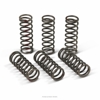 Performance Clutch Springs - 13-17 CRF450R