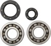 Main Bearings and Seal Kits - Bearing/Seal Kit Cr250