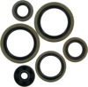 Oil Seal Kit - For 98-16 KTM Husqvarna