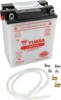 Yuasa YB12AL-A2 Yumicron 12 Volt Battery