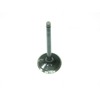 Bronco Exhaust Valve For Yamaha YFM700 Raptor Grizzly Rhino Viking - Exhaust valve for Yamaha YFM700, Rhino, Viking, Grizzly