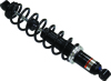 Gas Ski Shock w/Spring - Replaces SkiDoo 505-0731-80 505-0722-60