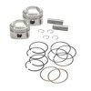 36-84 BT 3-7/16in x Up To 4-3/4in Stroke Piston Set - .060in 36-84 BT 3-7/16in x Up To 4-3/4in Stroke Piston Set - .060in
