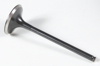 Black Diamond Exhaust Valve Black Diamond Exhaust Valve