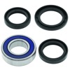 01-14 Honda TRX500FA FourTrax Foreman Rubicon 4x4 AT (2) Lower Steering Bearing Kit 01-14 Honda TRX500FA FourTrax Foreman Rubicon 4x4 AT (2) Lower Steering Bearing Kit