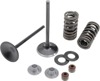 Intake Valve Spring Kit - For 13-16 Honda CRF450R