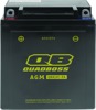 QuadBoss AGM Battery QB12C-FA QuadBoss AGM Battery QB12C-FA