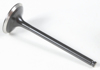 Black Diamond Exhaust Valve - For 00-17 Suzuki Black Diamond Exhaust Valve - For 00-17 Suzuki