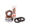 Rear Wheel Bearing Kit - For Suzuki DRZ400 E/S/SM Rear Wheel Bearing Kit - For Suzuki DRZ400 E/S/SM