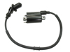 Bronco Ignition Coil AT-01691 For Polaris Sportsman RZR Outlaw 110 170 - Fits Polaris Sportsman, RZR, Outlaw 110/170 ATVs