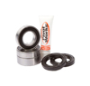 Rear Wheel Bearing Kit Rear Wheel Bearing Kit