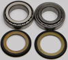 All Balls Steering Head Bearing & Seal Kit