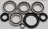 Differential Bearing & Seal Kit