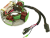 SPI Stator Fits 1990-2003 Arctic Cat Bearcat Cougar EXT Wildcat ZR ZL SPI Stator Fits 1990-2003 Arctic Cat Bearcat Cougar EXT Wildcat ZR ZL