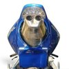 04-07 Honda CBR1000RR Undertail Factory Color Matched Black 04-07 Honda CBR1000RR Undertail Factory Color Matched Black