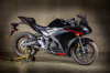 Street Slayer Carbon Fiber Slip On Exhaust - For 15-23 Yamaha R3 & MT03