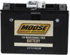 YTX AGM Maintenance Free Battery 230CCA 12V 13Ah - Replaces YTX15L-BS