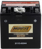 YIX AGM Maintenance Free Battery 385CCA 12V 30Ah - Replaces YIX30L-BS
