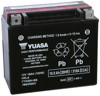 AGM Maintenance Free Battery YTX20H-BS