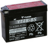 AGM Maintenance Free Battery YT4B-BS