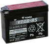 AGM Maintenance Free Battery YT4B-BS AGM Maintenance Free Battery YT4B-BS