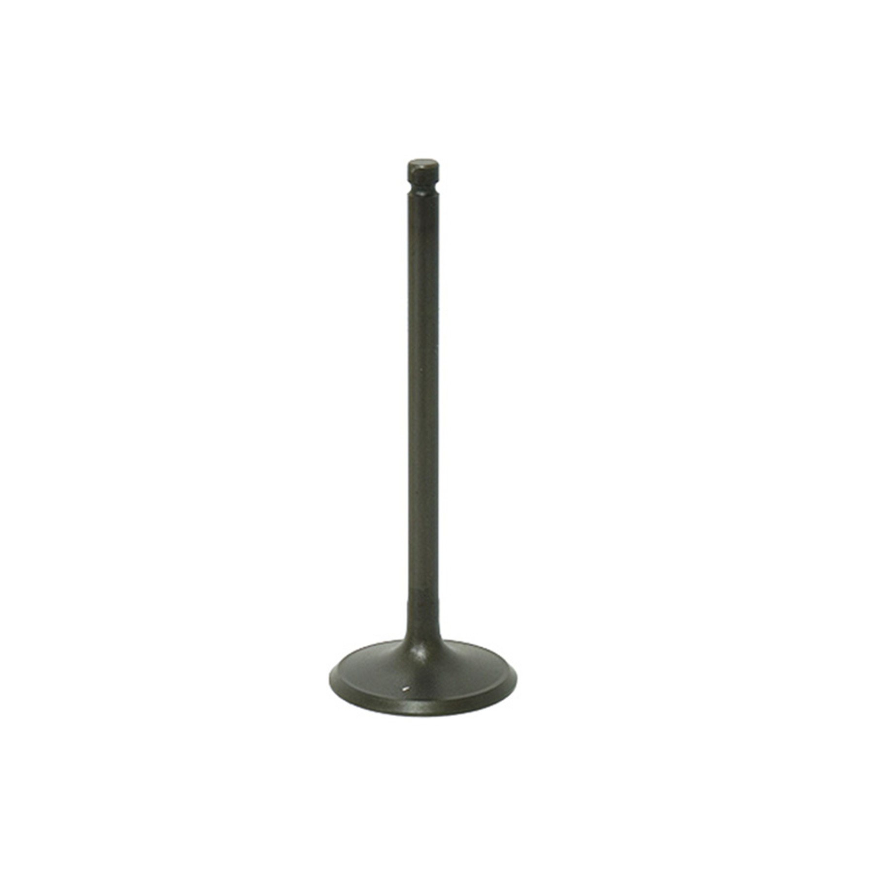 Bronco Intake Valve AU-09194I For Polaris Magnum, Trail Boss, Sportsman - Fits Polaris Magnum, Trail Boss, Sportsman, more - Click Image to Close
