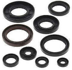 QuadBoss Oil Seal Set Gaskets & Seals Engine - 564136