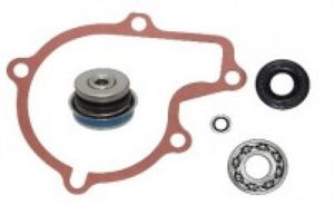 Bronco Water Pump Repair Kit AT-10083 - Complete water pump rebuild kit with bearings