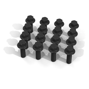 Bullite Beadlock Wheel Insert and Black Bolt Set of 16 - Beadlock wheel insert and bolts, set of 16