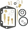 Carburetor Repair Kit - Carb Repair Kit