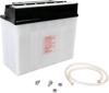 Yuasa Y50-N18A-A Yumicron 12V Battery - 12V conventional battery, sold dry. Fits Suzuki LT250EF