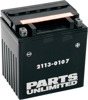 AGM Maintenance Free Battery 385CCA 12V 30Ah - Replaces YIX30L-BS