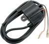 WSM Ignition Coil Black For Yamaha SuperJet WaveRunner WaveRaider - Replacement ignition coil for Yamaha watercraft
