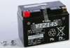 AGM Maintenance Free Battery YTZ14S