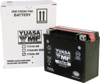AGM Maintenance Free Battery YTX20L-BS