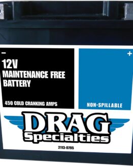 Factory Activated AGM Maintenance Free Battery YIX30LBSFT
