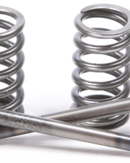 Steel Exhaust Valve/Spring Kit