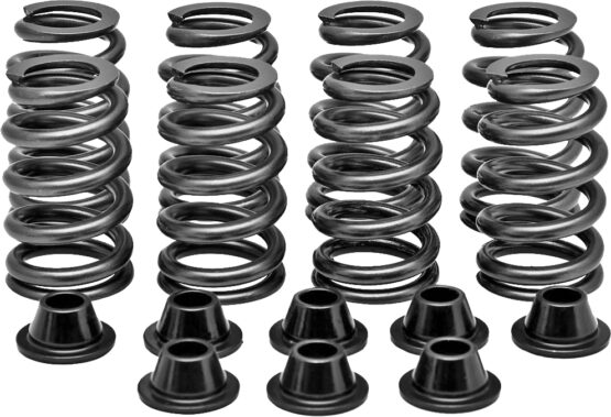 Racing Valve Spring Kit