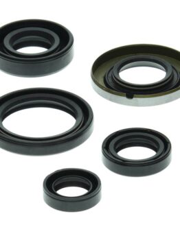 Vertex Oil Seal Kit Fits 99-04 Honda TRX400EX