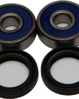 All Balls Rear Wheel Bearing & Seal Kit 25-1300