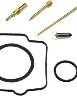 Carburetor Repair Kit