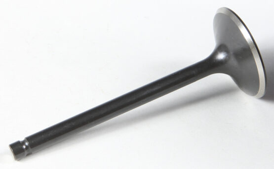 Black Diamond Intake Valve