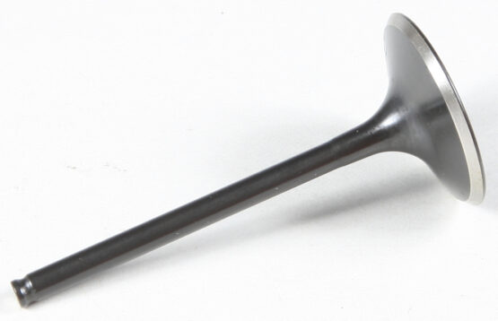 Black Diamond Intake Valve
