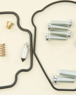 Carburetor Repair Kit