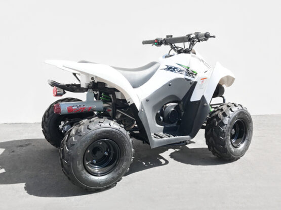 Big Gun EVO M Series Full Exhaust Fits 08-20 Kawasaki KFX50 - Image 3