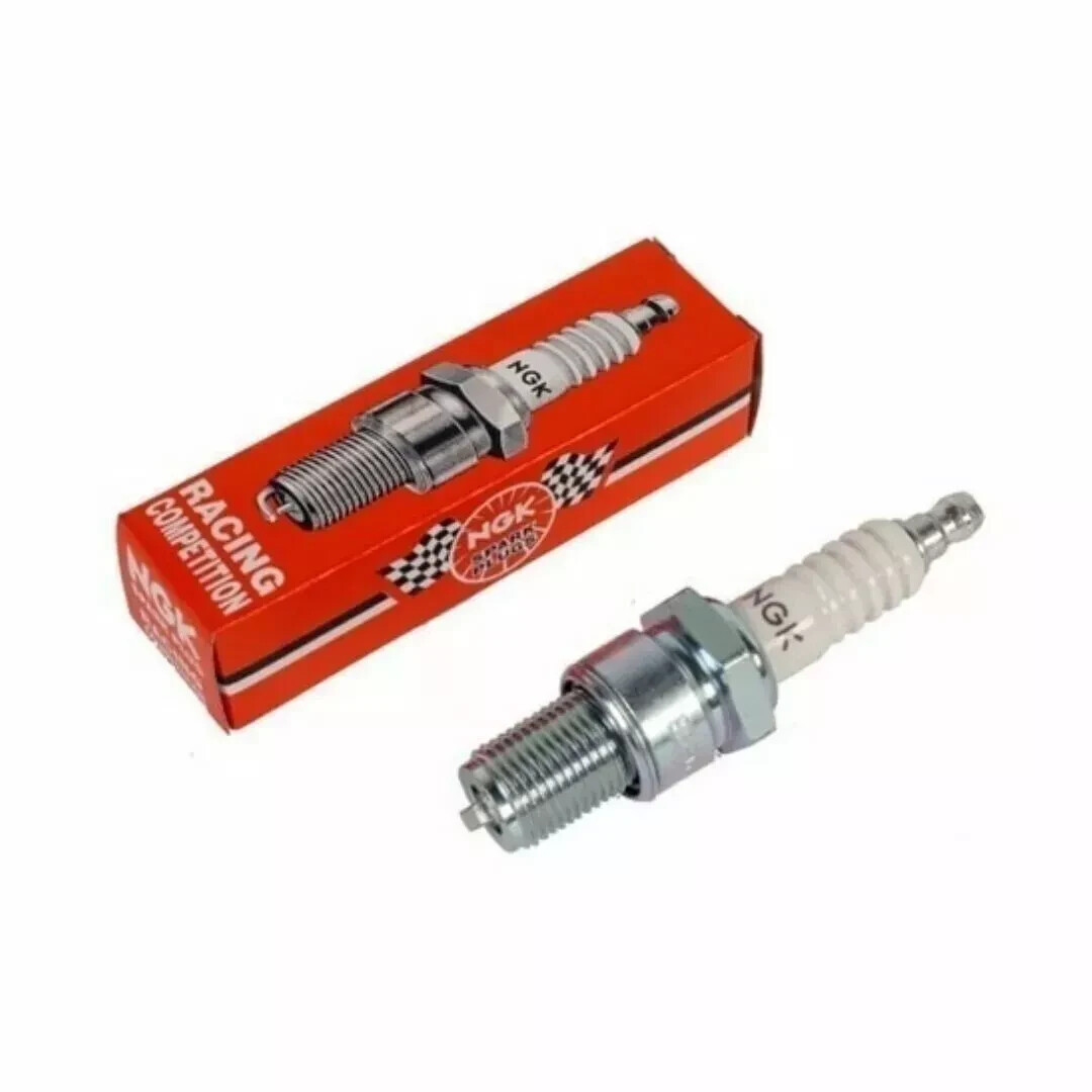 10000_5fbc7749.jpg 10000_5fbc7749.jpg